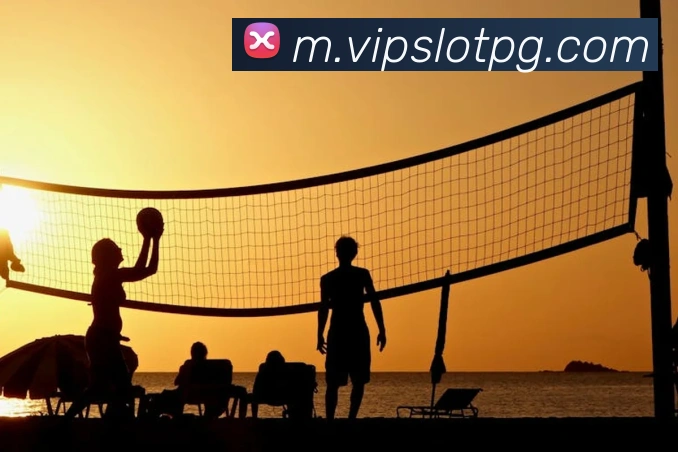 pg官网平台生态图